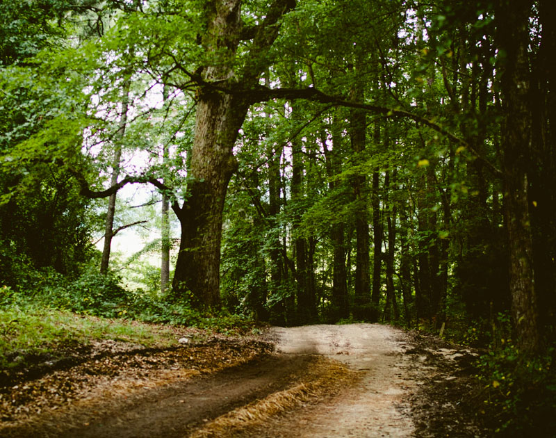 ddos攻击防御手段